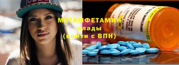 прущие грибы Инсар