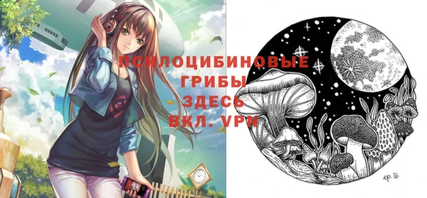 эйфоретик Алексеевка