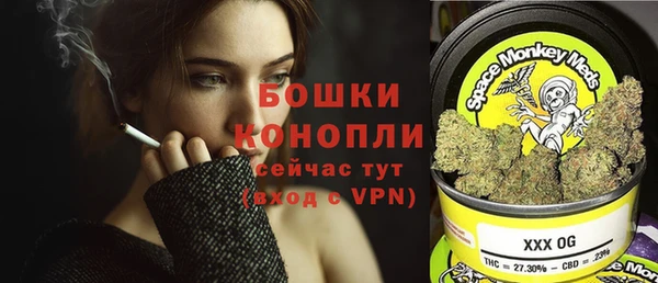 МДПВ Инта